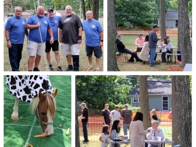 CollageCowPlop3